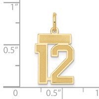 14K Yellow Gold Small Satin Number 12 Charm view 4