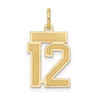 14K Yellow Gold Small Satin Number 12 Charm view 1
