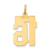 14K Yellow Gold Small Satin Number 16 Charm view 3