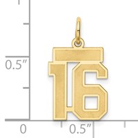 14K Yellow Gold Small Satin Number 16 Charm view 4
