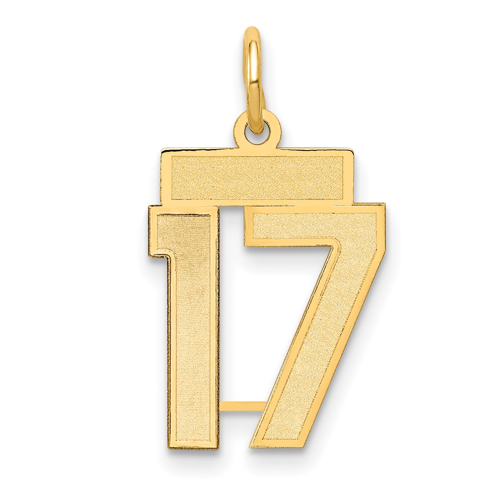 14K Yellow Gold Small Satin Number 17 Charm