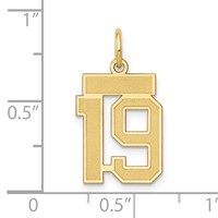 14K Yellow Gold Small Satin Number 19 Charm view 3