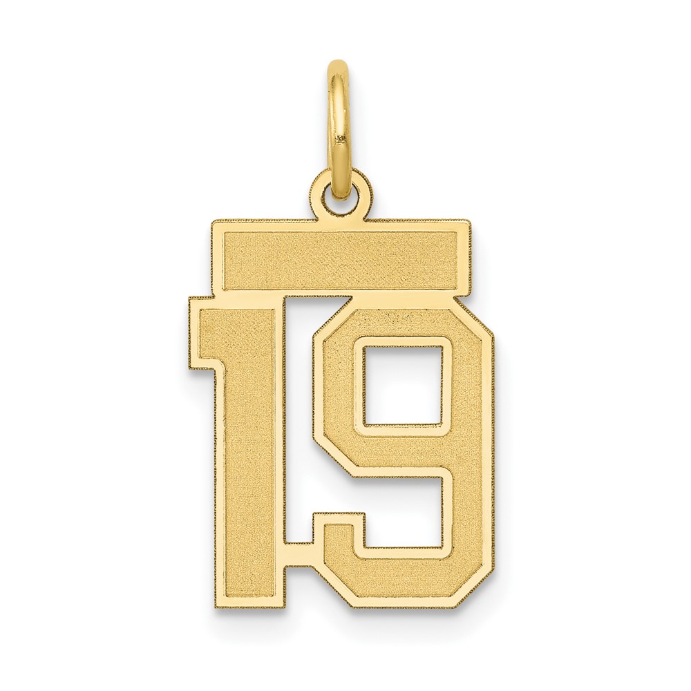 14K Yellow Gold Small Satin Number 19 Charm