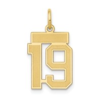 14K Yellow Gold Small Satin Number 19 Charm view 1