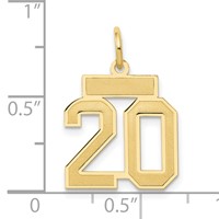 14K Yellow Gold Small Satin Number 20 Charm view 4