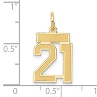 14K Yellow Gold Small Satin Number 21 Charm view 4