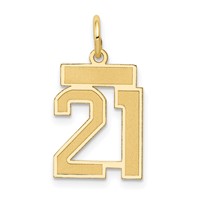 14K Yellow Gold Small Satin Number 21 Charm view 1