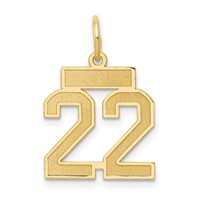 14K Small Satin Number 22 Charm view 1