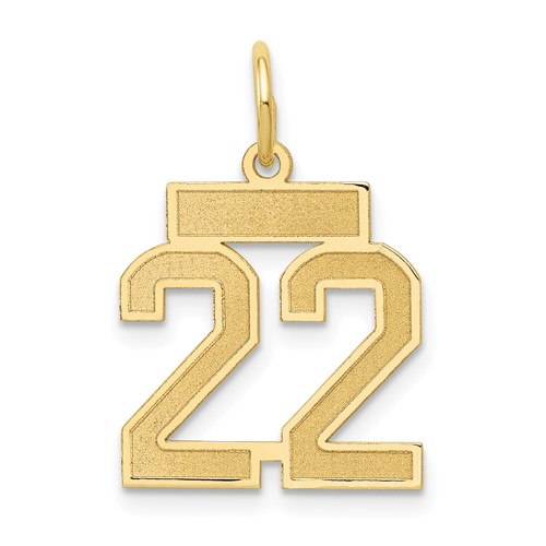14K Yellow Gold Small Satin Number 22 Charm