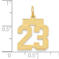 14K Yellow Gold Small Satin Number 23 Charm view 4