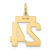 14K Yellow Gold Small Satin Number 24 Charm view 3