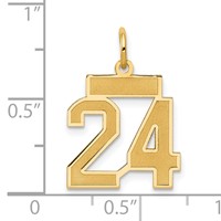 14K Yellow Gold Small Satin Number 24 Charm view 4