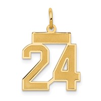 14K Yellow Gold Small Satin Number 24 Charm view 1