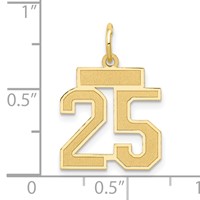 14K Small Satin Number 25 Charm view 4