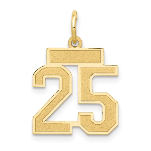 14K Yellow Gold Small Satin Number 25 Charm