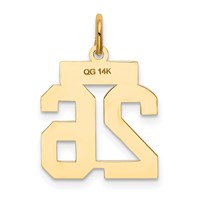 14K Yellow Gold Small Satin Number 26 Charm view 3
