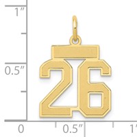 14K Yellow Gold Small Satin Number 26 Charm view 4