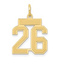 14K Yellow Gold Small Satin Number 26 Charm view 1