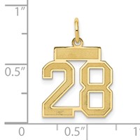 14K Yellow Gold Small Satin Number 28 Charm view 3