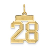 14K Yellow Gold Small Satin Number 28 Charm view 1