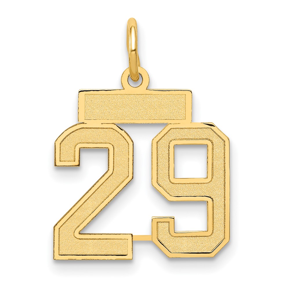 14K Yellow Gold Small Satin Number 29 Charm