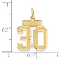 14K Yellow Gold Small Satin Number 30 Charm view 4