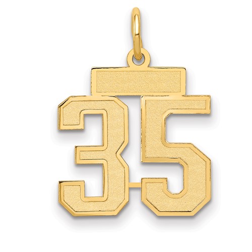 14K Yellow Gold Small Satin Number 35 Charm