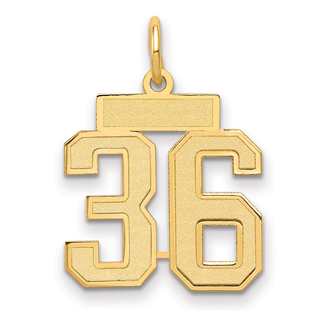 14K Yellow Gold Small Satin Number 36 Charm