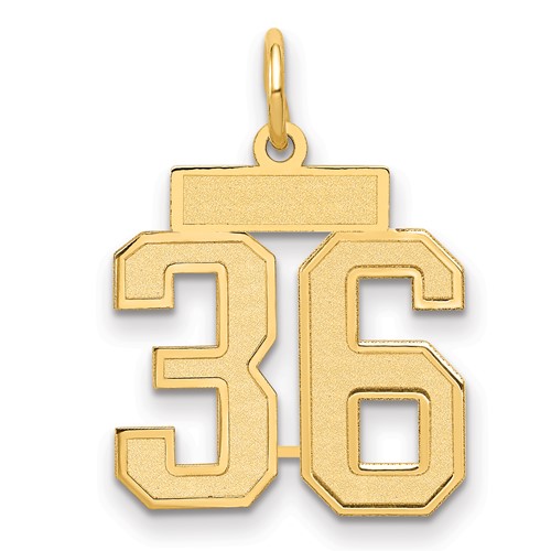 14K Yellow Gold Small Satin Number 36 Charm