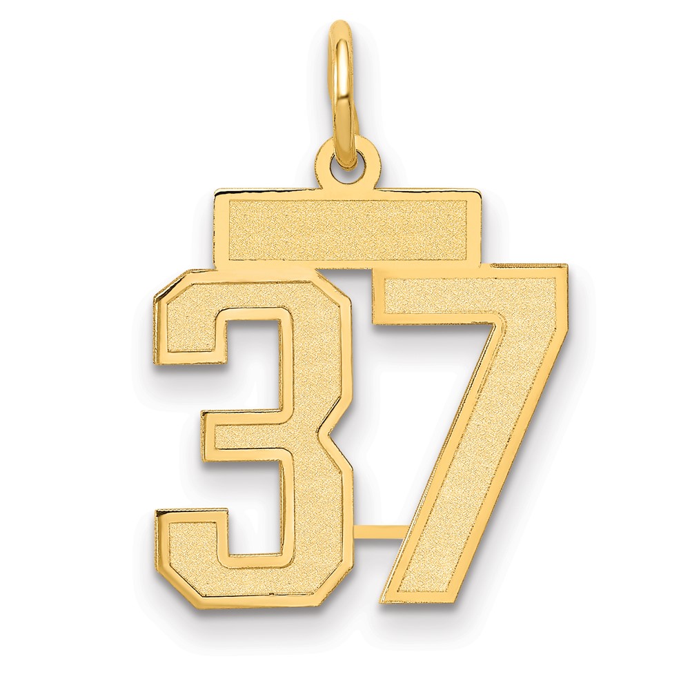 14K Small Satin Number 37 Charm