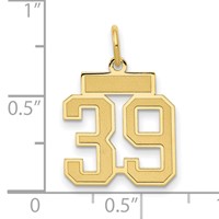 14K Yellow Gold Small Satin Number 39 Charm view 3