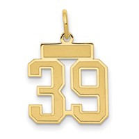 14K Yellow Gold Small Satin Number 39 Charm view 1