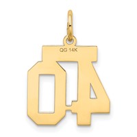 14K Yellow Gold Small Satin Number 40 Charm view 3