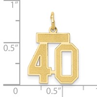 14K Yellow Gold Small Satin Number 40 Charm view 4