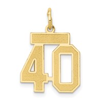 14K Yellow Gold Small Satin Number 40 Charm view 1