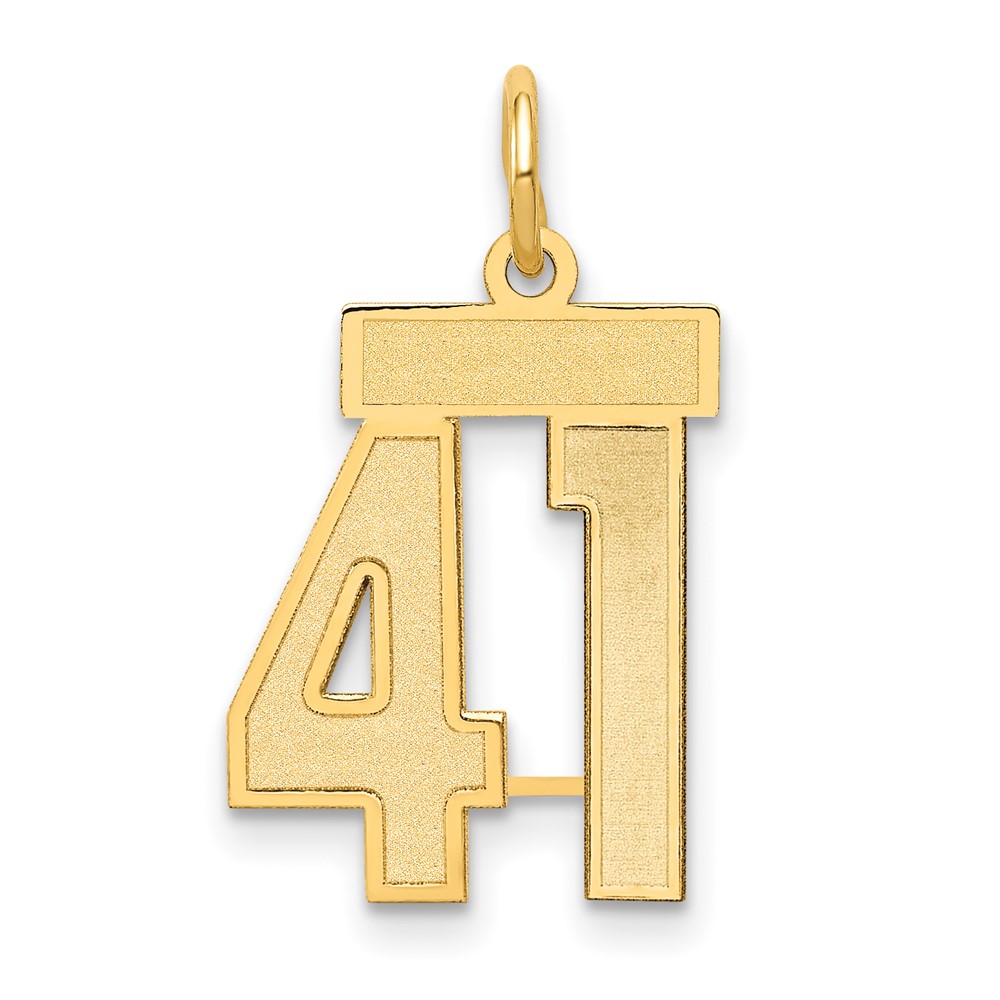 14K Yellow Gold Small Satin Number 41 Charm