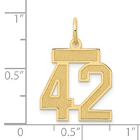 14K Small Satin Number 42 Charm view 3