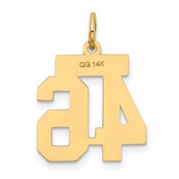 14K Yellow Gold Small Satin Number 46 Charm view 3