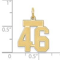 14K Yellow Gold Small Satin Number 46 Charm view 4
