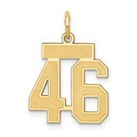 14K Yellow Gold Small Satin Number 46 Charm view 1