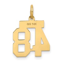 14K Yellow Gold Small Satin Number 48 Charm view 3
