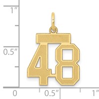 14K Yellow Gold Small Satin Number 48 Charm view 4