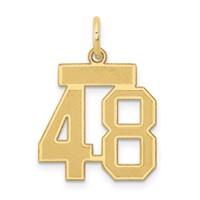 14K Yellow Gold Small Satin Number 48 Charm view 1