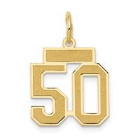 14K Yellow Gold Small Satin Number 50 Charm view 1