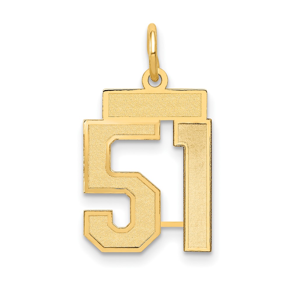 14K Small Satin Number 51 Charm