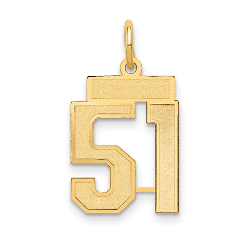 14K Yellow Gold Small Satin Number 51 Charm