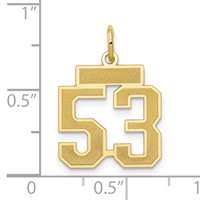 14K Yellow Gold Small Satin Number 53 Charm view 3