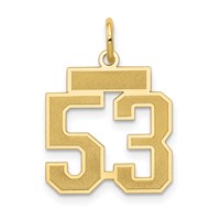 14K Yellow Gold Small Satin Number 53 Charm view 1