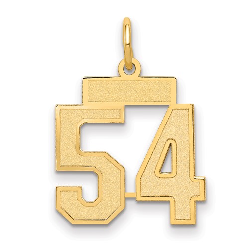 14K Yellow Gold Small Satin Number 54 Charm