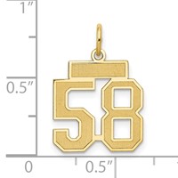 14K Yellow Gold Small Satin Number 58 Charm view 4